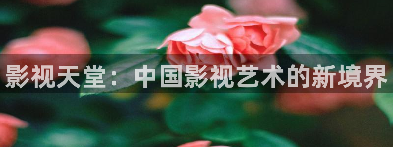 乐乐琪琪影院：影视天堂：中国影视艺术的新境界