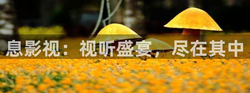 琪琪万全影院：息影视：视听盛宴，尽在其中