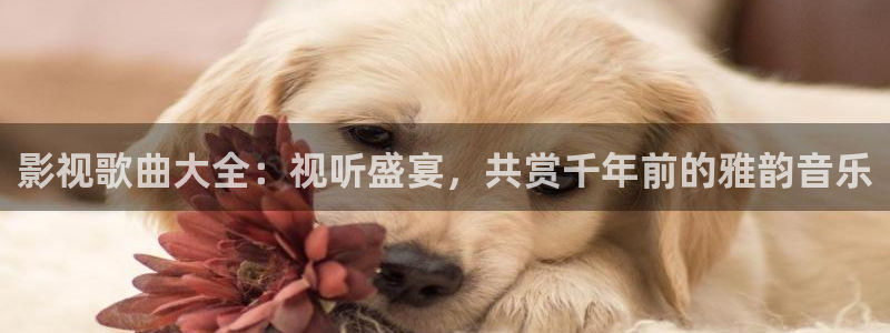 色琪琪影视：影视歌曲大全：视听盛宴，共赏千年前的雅韵音乐