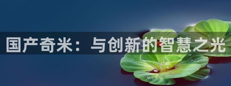 色琪琪在线电影：国产奇米：与创新的智慧之光