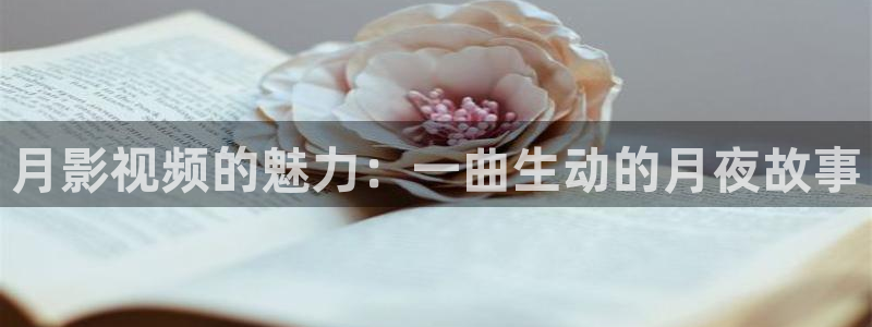 琪琪看片：月影视频的魅力：一曲生动的月夜故事